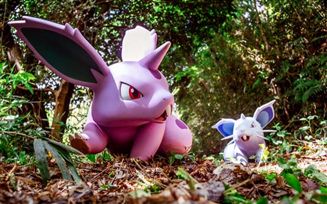 pokemon forest